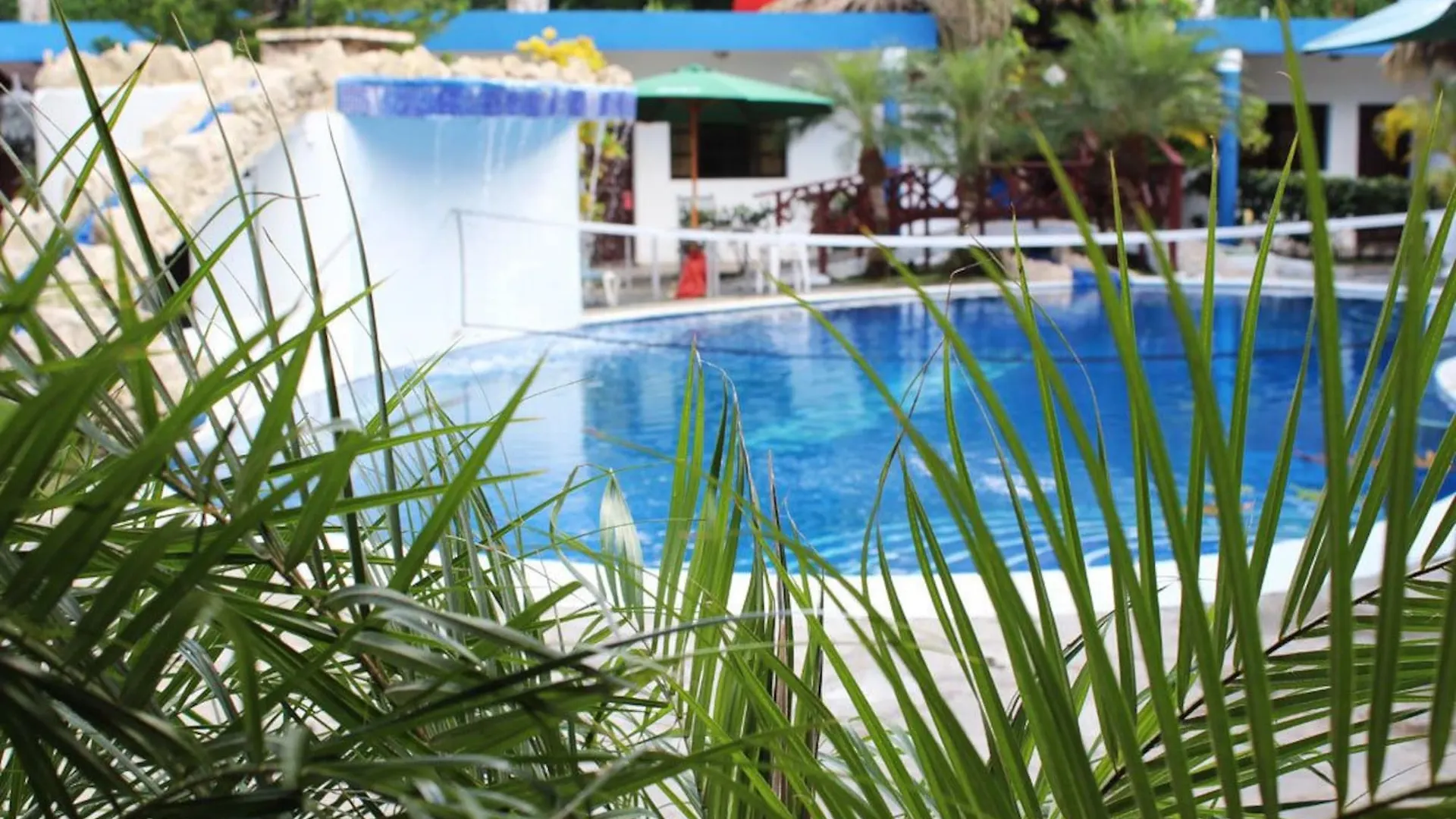 Oasis Adult Resort Munoz 多米尼加共和国